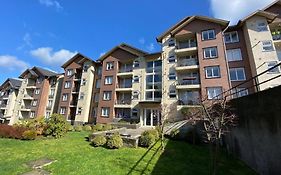 Departamento céntrico en Puerto Varas
